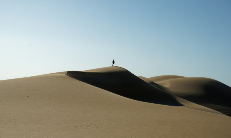 Best Time to Visit Walvis Bay