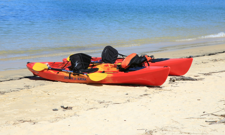 Pelican Point Kayaking Tour in Walvis Bay