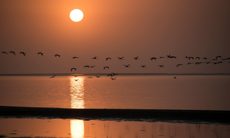 Safety in Walvis Bay for Tourists