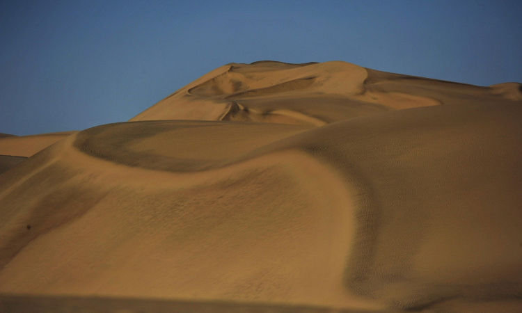 Sandwich Harbour Afternoon Tour from Walvis Bay