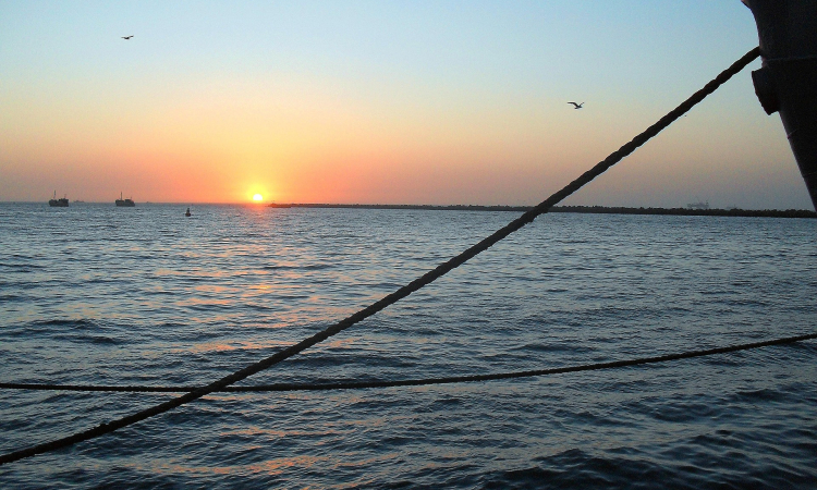 Sandwich Harbour & Boat Trip Tour from Walvis Bay