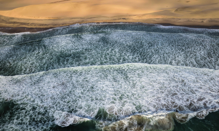 Sandwich Harbour Full-day Tour from Walvis Bay