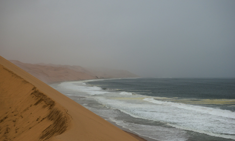 Sandwich Harbour Morning Tour from Walvis Bay