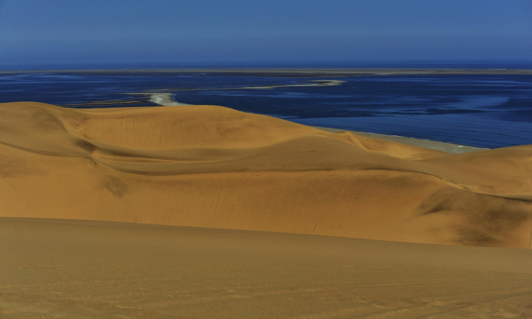 Seals, Dolphins Kayaking & Sandwich Harbour Tour