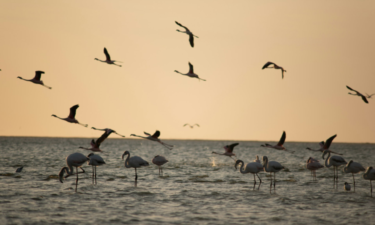 Walvis Bay Travel Guide & Safety Tips