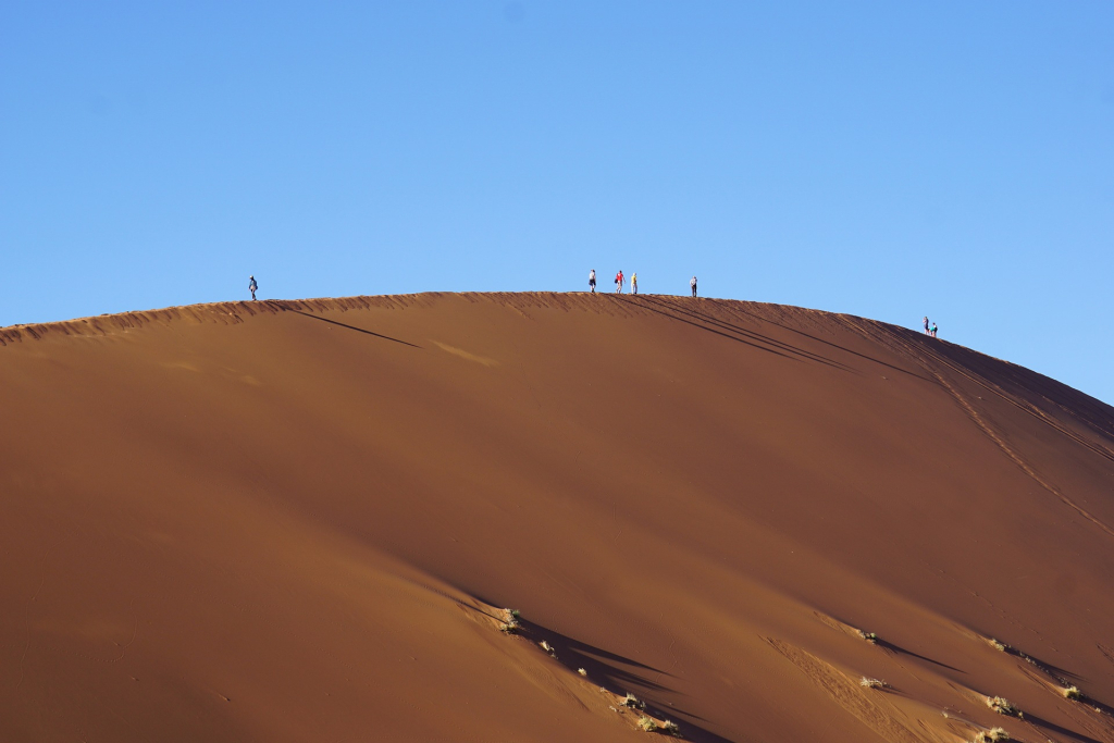 Conquering the High Crest of Dune 7