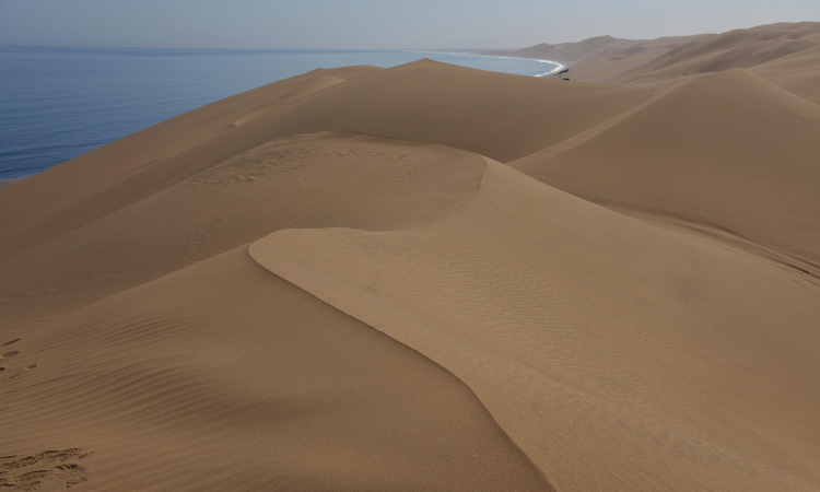 Private Sandwich Harbour Tour from Walvis Bay